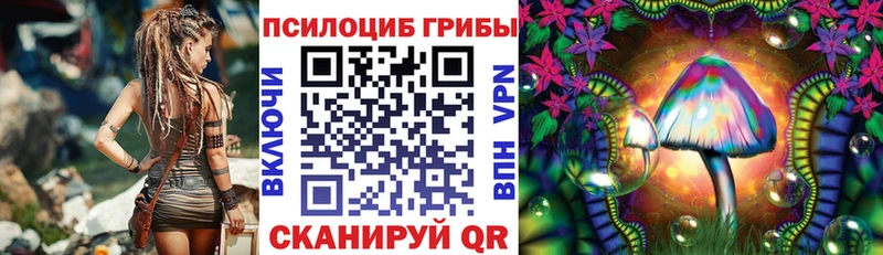 Галлюциногенные грибы Magic Shrooms  купить наркотик  Зерноград 